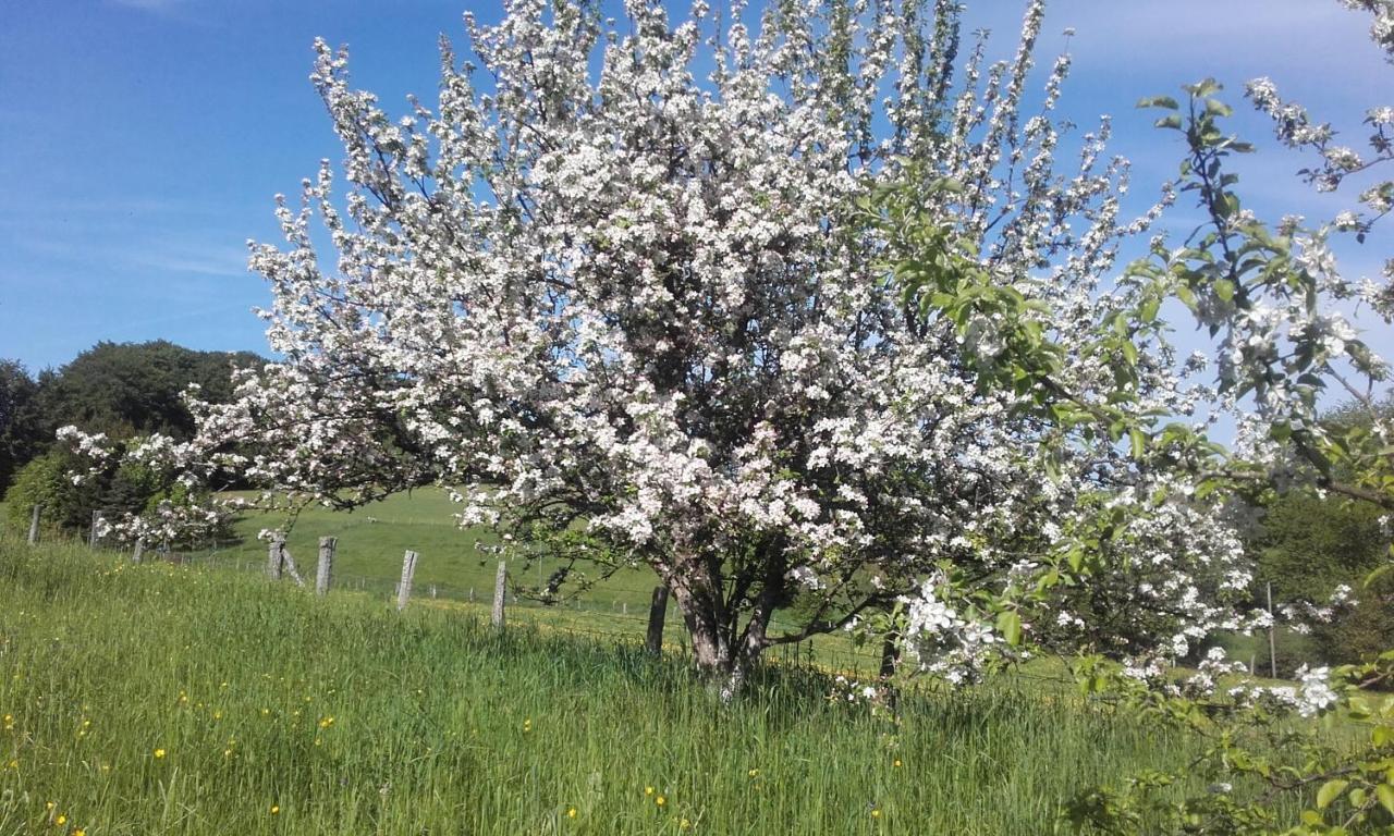 Gite Les Hirondelles Plombières-les-Bains Buitenkant foto