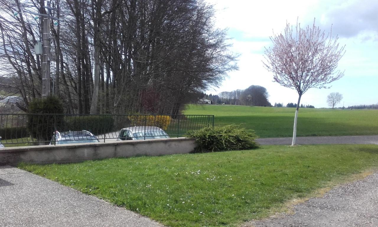 Gite Les Hirondelles Plombières-les-Bains Buitenkant foto