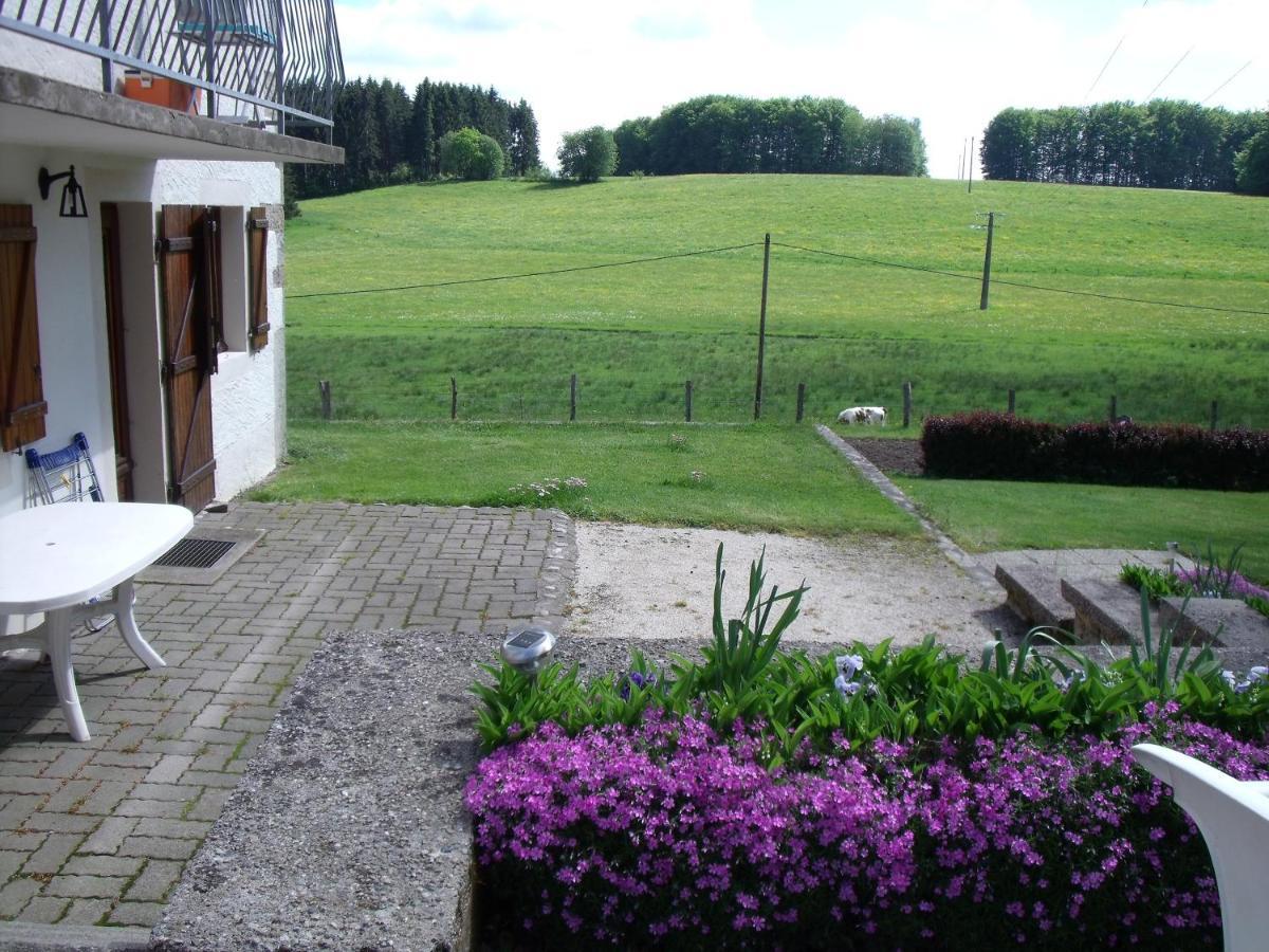 Gite Les Hirondelles Plombières-les-Bains Buitenkant foto
