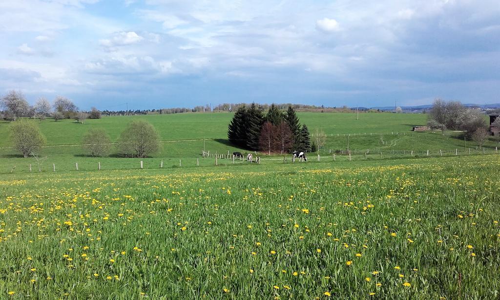 Gite Les Hirondelles Plombières-les-Bains Buitenkant foto