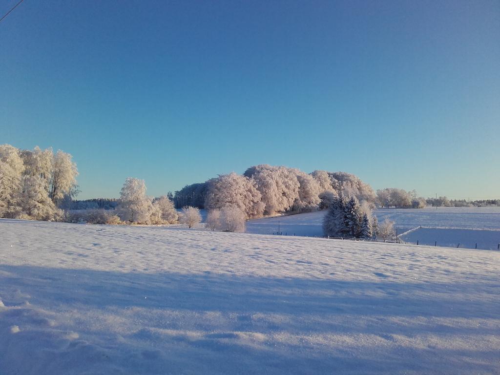 Gite Les Hirondelles Plombières-les-Bains Buitenkant foto