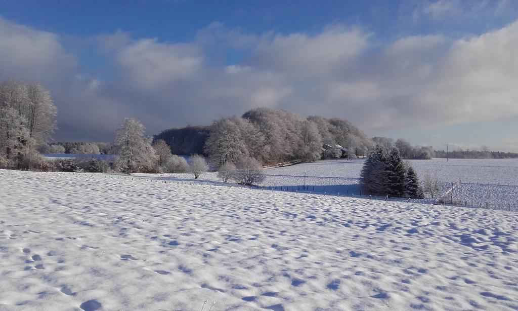 Gite Les Hirondelles Plombières-les-Bains Buitenkant foto