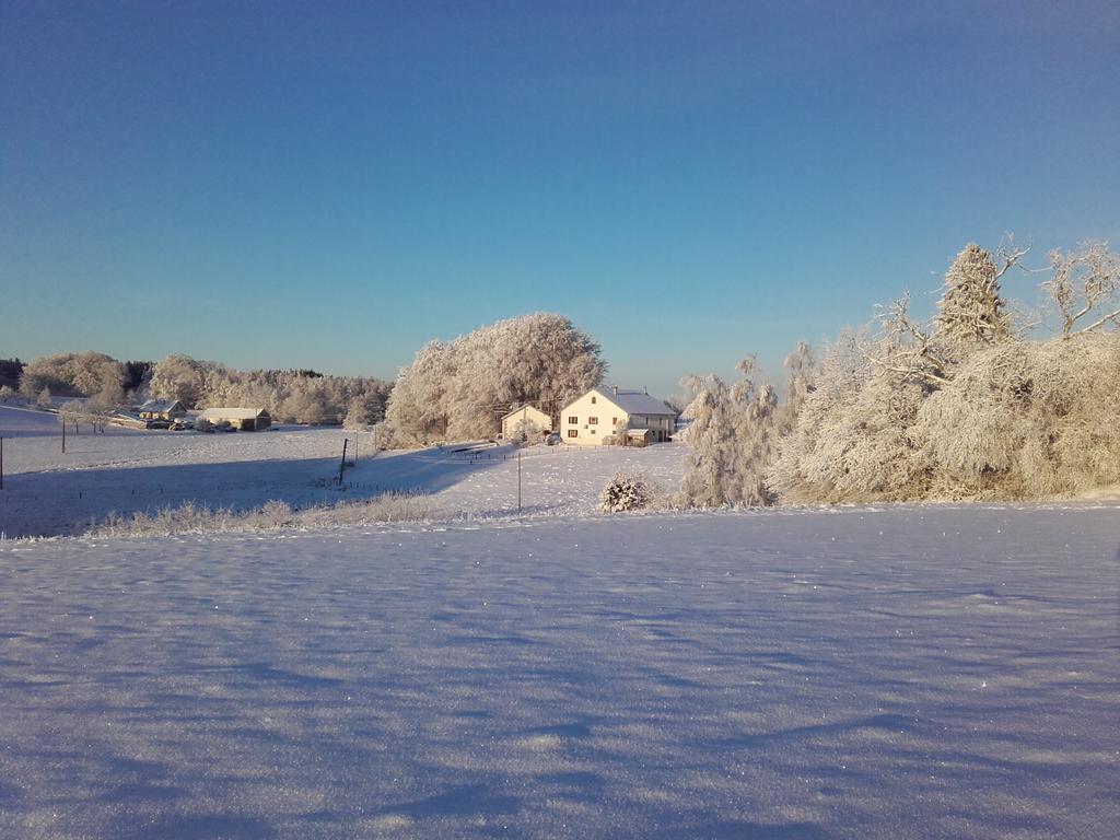 Gite Les Hirondelles Plombières-les-Bains Buitenkant foto