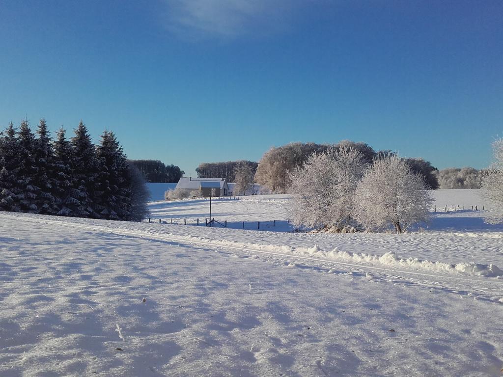 Gite Les Hirondelles Plombières-les-Bains Buitenkant foto
